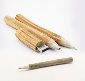 Pens, Pencils and USB Drives (Pen drives )